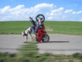 /album/resim-galerisi/a8920marifet5cy-1-gif/